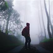 Mắt 