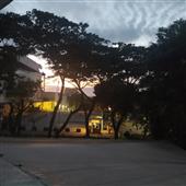 Tiê