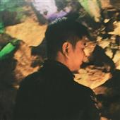 Gi