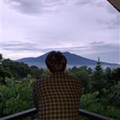 Sự T