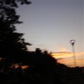 Bầu 