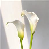 Đặc 