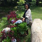 Vịnh
