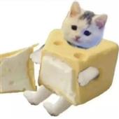Các