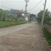 Lịch
