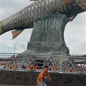 Mơ t