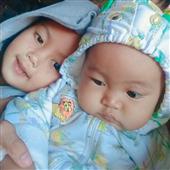 Cung