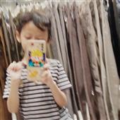 Bầy 