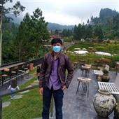 Cung