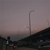 Bản