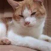 Bắt 