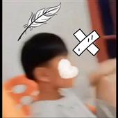 Đội