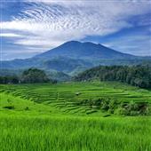 Bắn 