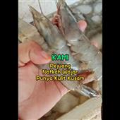 Kho 