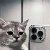 Tò