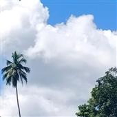 Soi 
