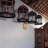 Ngọ