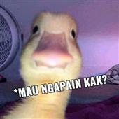 Must