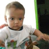 Roul