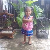 Bộ