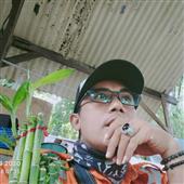 Webs