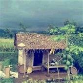 Vua 