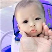 Tải 