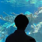 Tiề