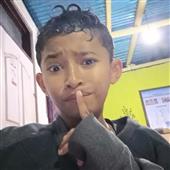The 