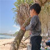 đội 