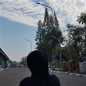 Trực