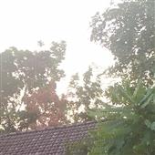 ngườ