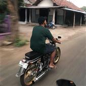 NGŨ