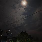 Bữ
