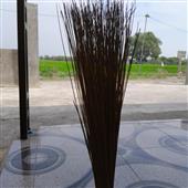 Cừ