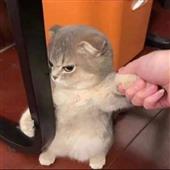 Ga