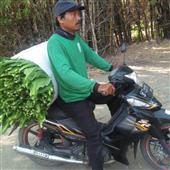 Tải