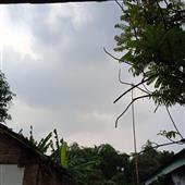 Số l