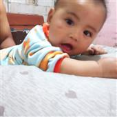 Đội 