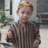 Luật