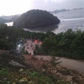 Cá