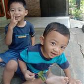 Gamb