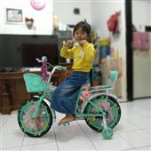 Nhận định bó